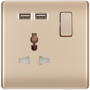 13A Switched Universal Socket With Dual USB Champagne