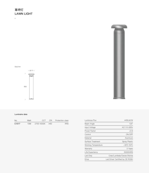 Pioneer Flat Bollard SPC1017